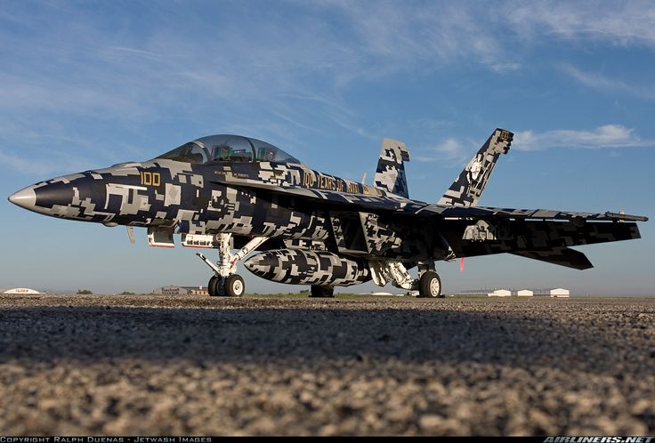 US NavyMarine FA-18 Hornets and Super Hornets in Alternative Camouflage