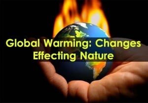 Global Warming: Changes Effecting Nature