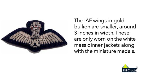 How are the uniforms of an air force pilot different from an air