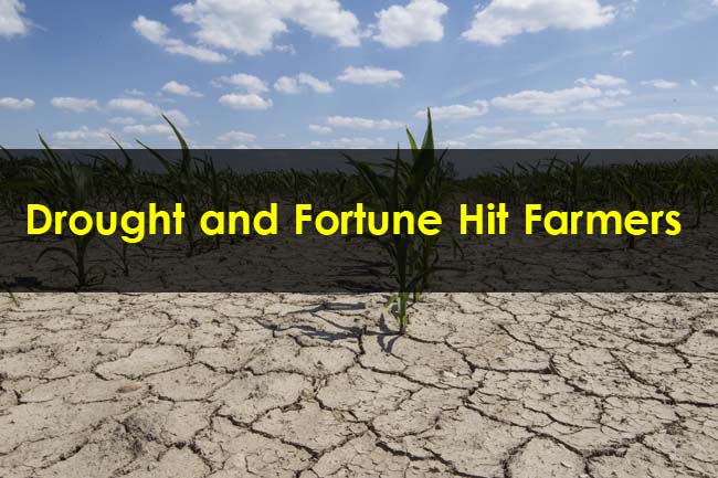 Drought-and-Fortune-Hit-Farmers