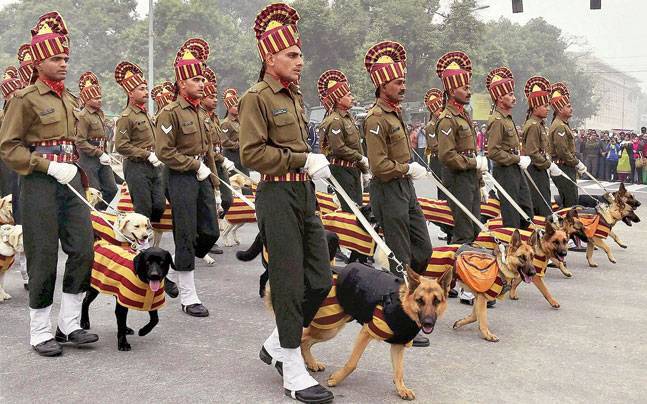 RVC Dogs at Rajpath