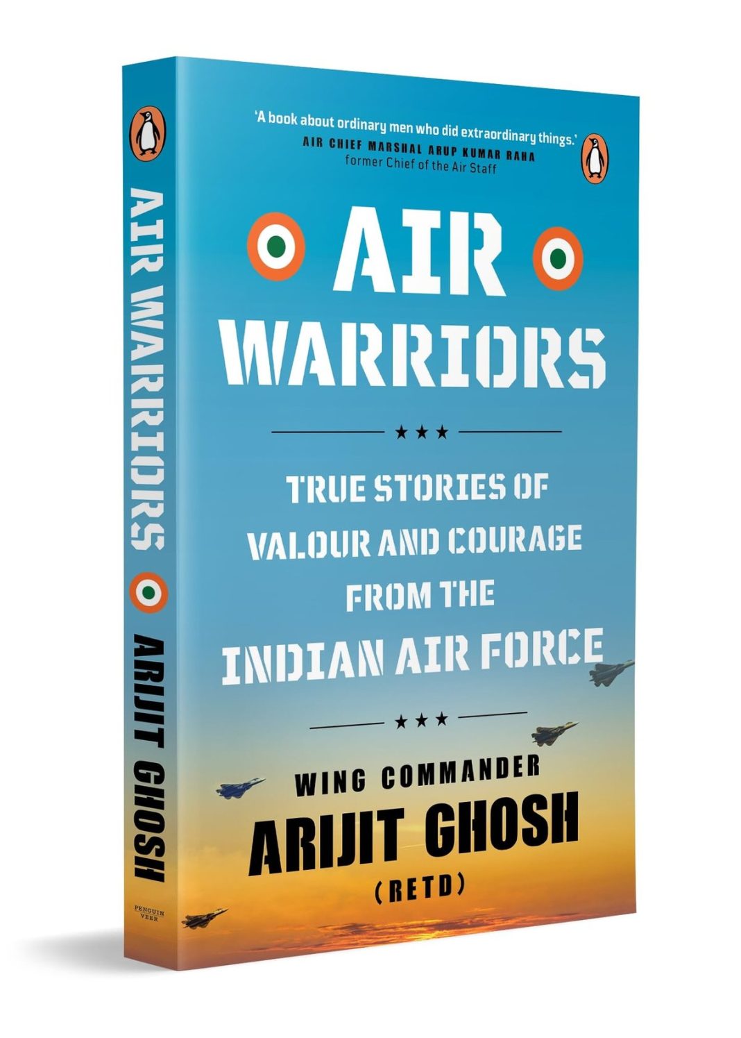 Air Warriors: A Unique Insight into Air Combat and the Lives of Those Who Serve