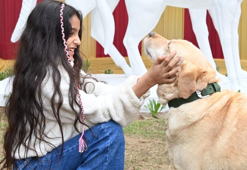 12 Retired Indian Army Dogs Find New Homes and Purpose