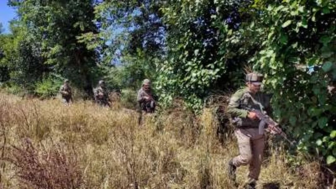 Security Forces Neutralise Terrorist in Dachigam Forest Operation